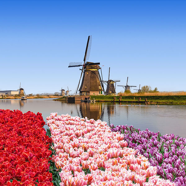 Rotterdam